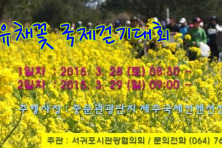 서귀포 유채꽃 국제걷기대회 2015 (기간 : 2015.03.28 ~ 2015.03.29) 